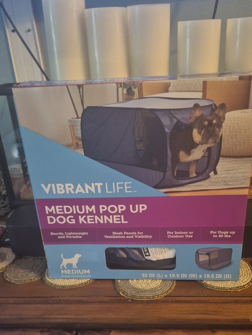 Vibrant Life Medium Pop-Up Dog Kennel — Blue